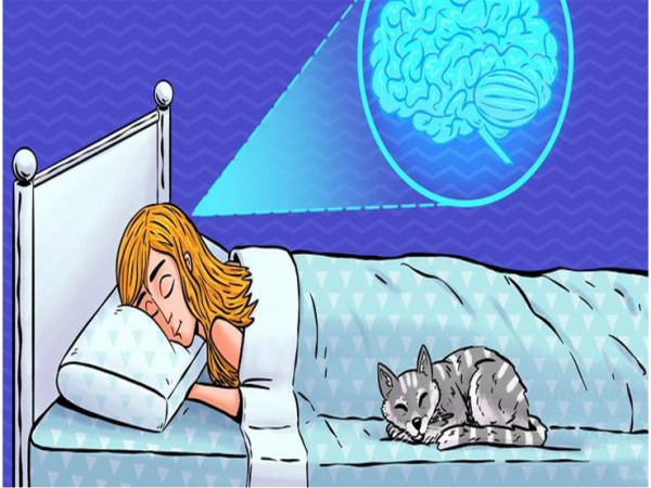 “المخ يأكل نفسه”.. إليك أضرار قلة النوم على المدى الطويل