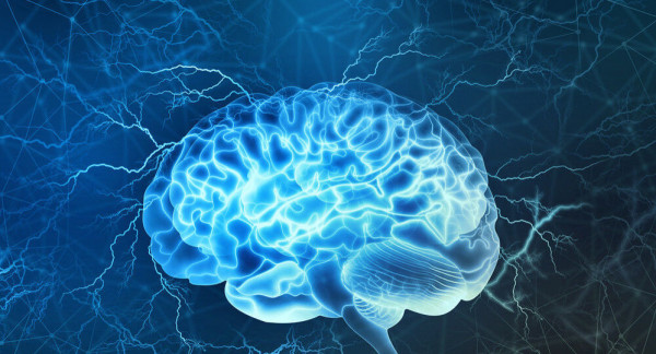العلماء يحددون طريقة بسيطة لإبطاء شيخوخة الدماغ
