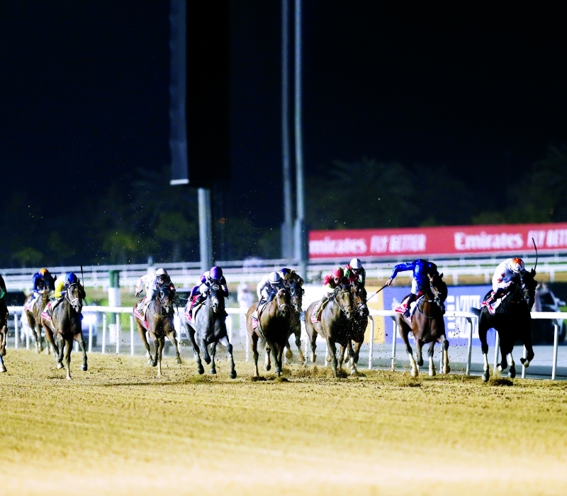 خيول العالم تستعد في «ميدان» لكأس دبي العالمي