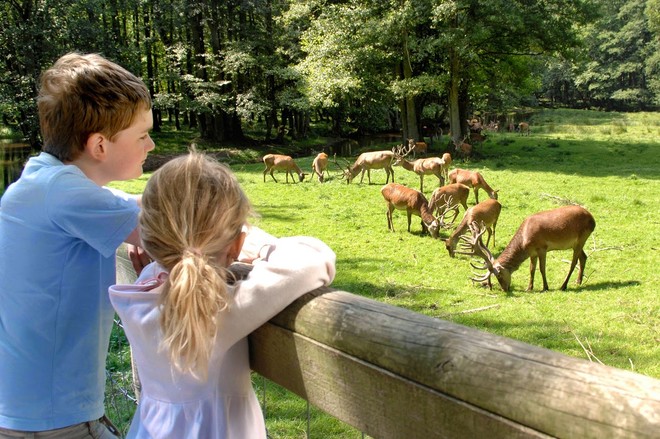 حديقة حيوان في ألمانيا تحذر مرتاديها من لمس حيوان هارب