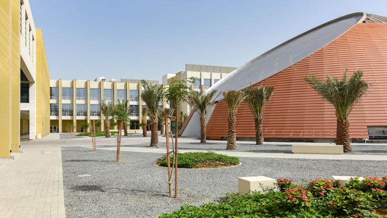 معهد روتشستر للتكنولوجيا دبي وبناء ثقافة الابتكار