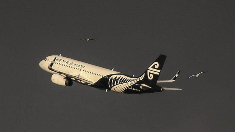طيران نيوزيلندا تطلق رحلات إلى هوبارت